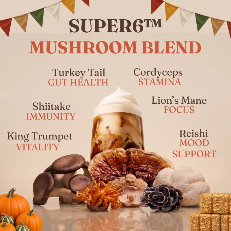 RYZE Mushroom Coffee — Harvest Fair