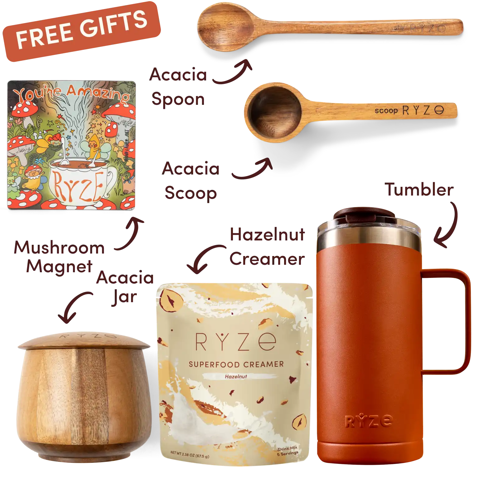 Free Acacia Jar, Mushroom Magnet, Acacia Spoon and Scoop, Tumbler, and limited edition Hazelnut Creamer