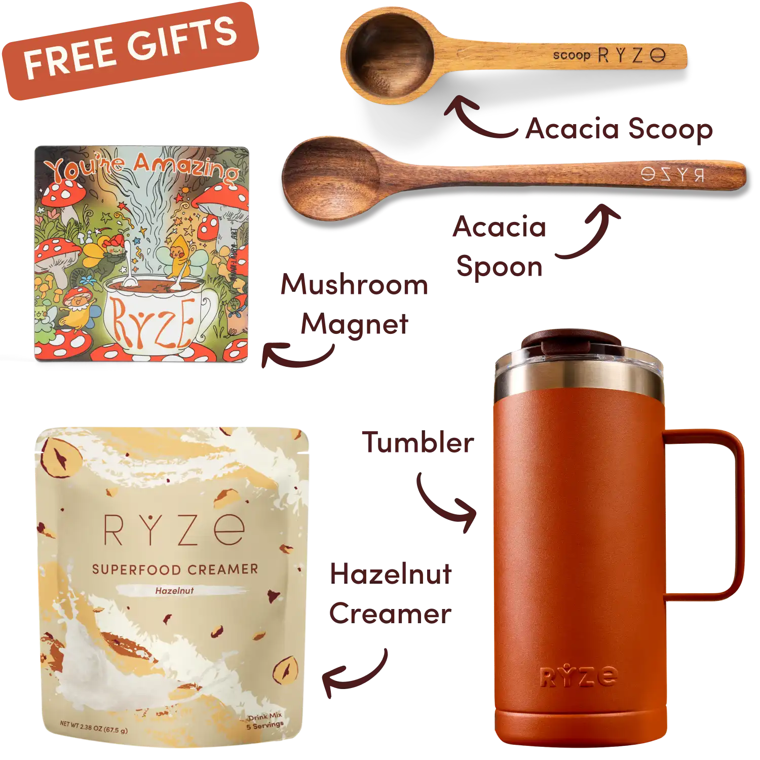 Free Mushroom Magnet, Acacia Spoon and Scoop, Tumbler, and limited edition Hazelnut Creamer